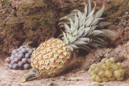 John Sherrin A Pineapple and Grapes on a mossy Bank (mk37) oil painting image